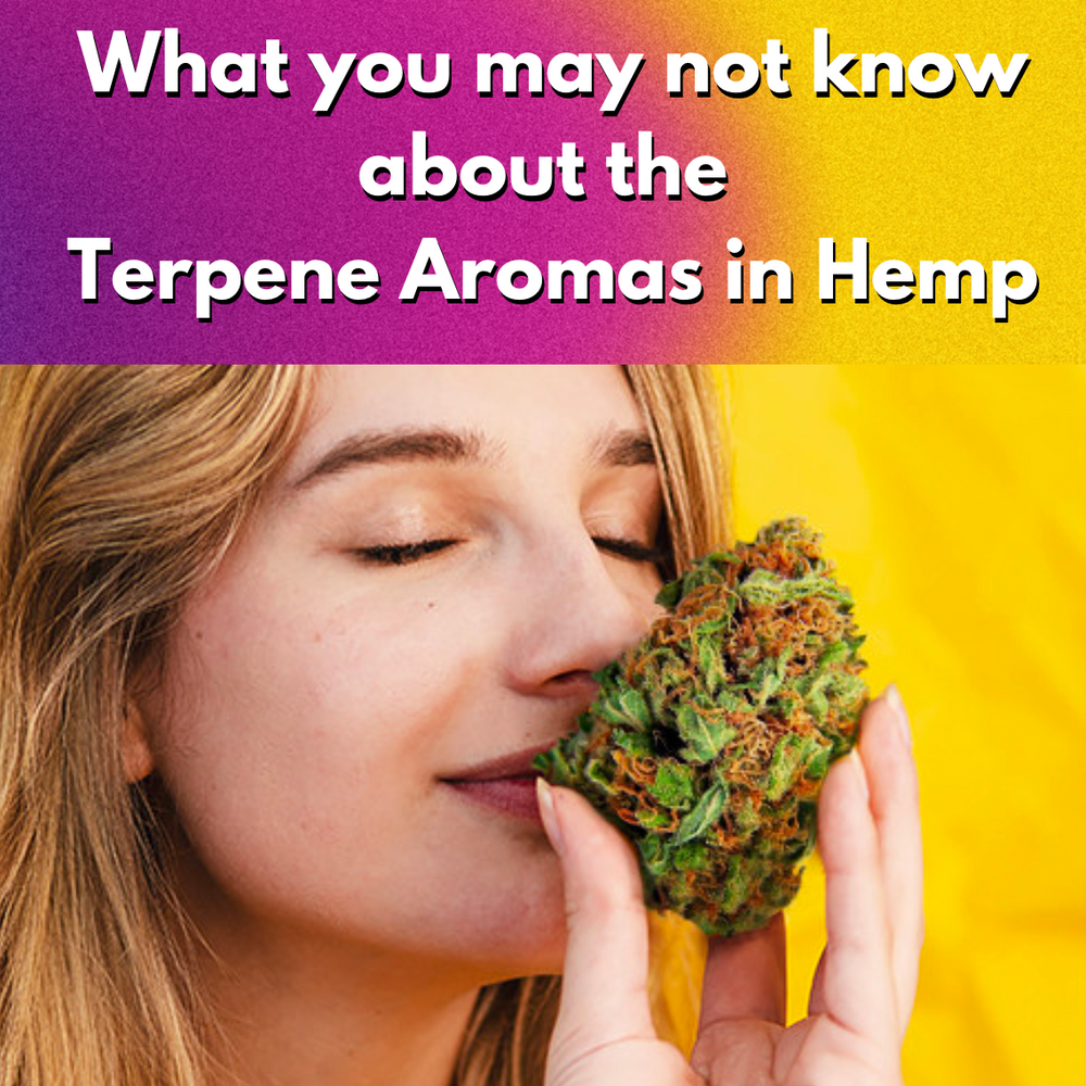 The Significance of Terpenes in Hemp Flower
