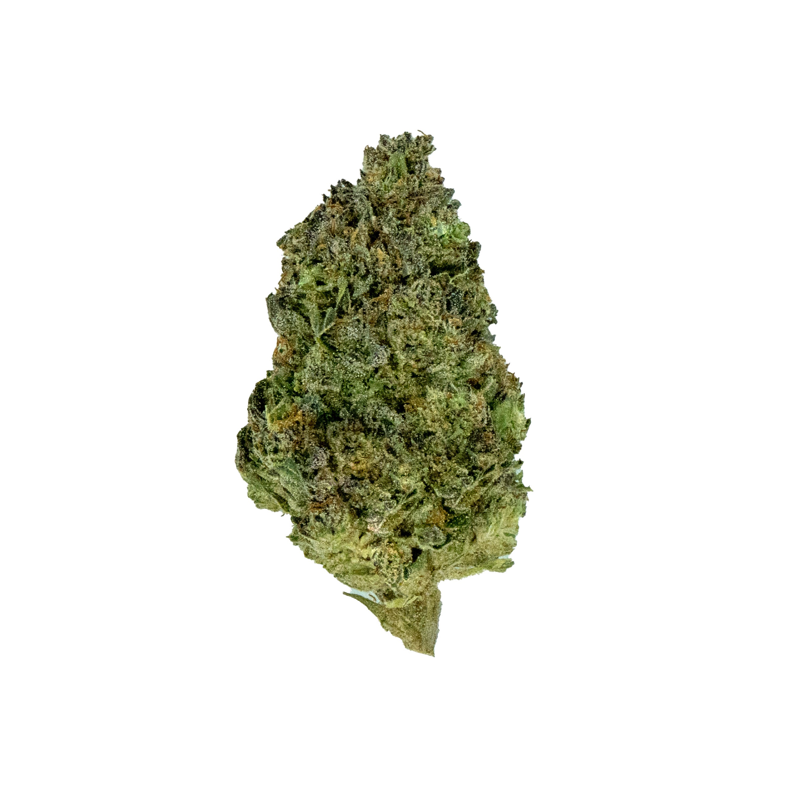 Light Assist Collection - Natural THCA Flower