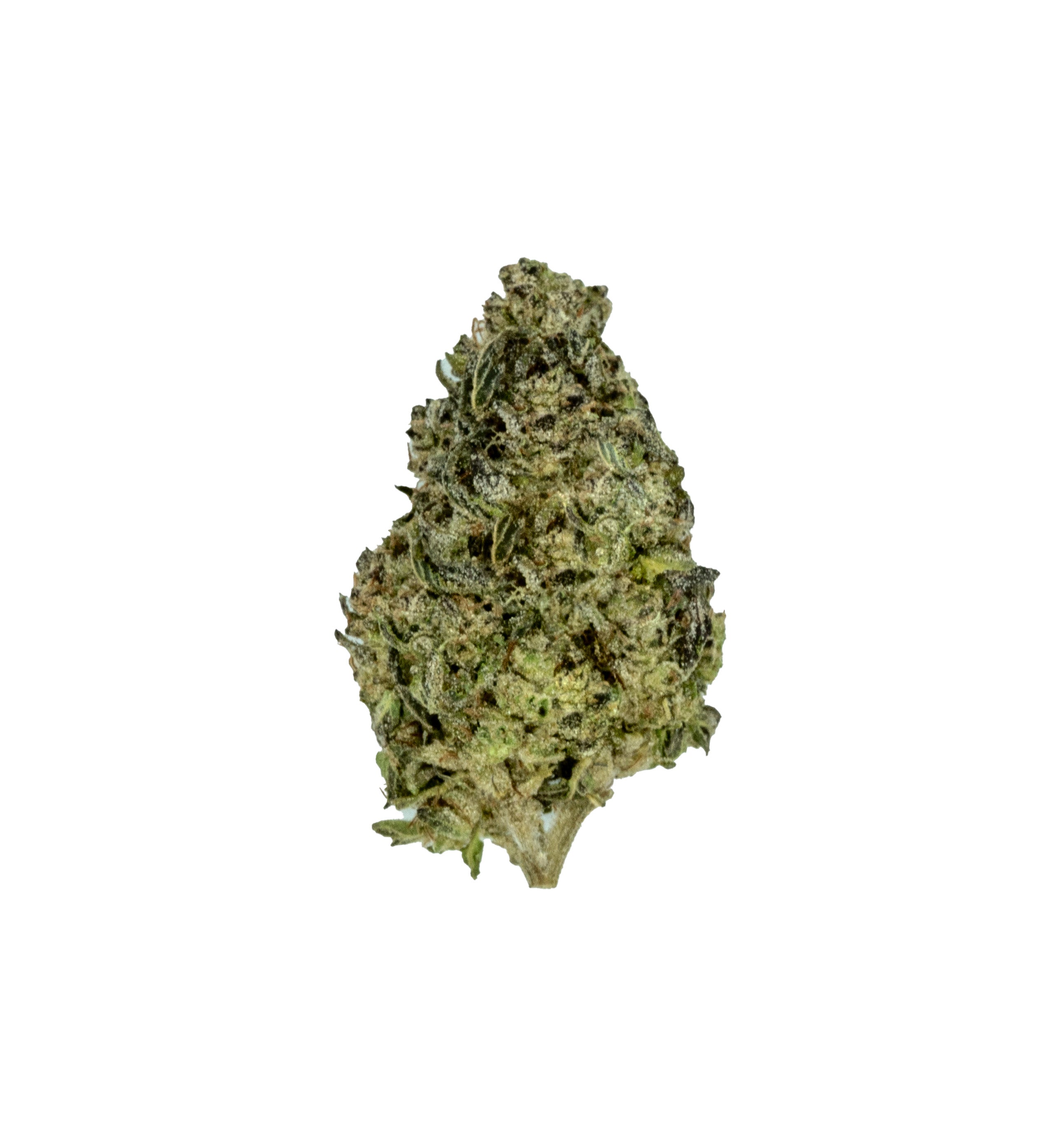 Light Assist Collection - Natural THCA Flower