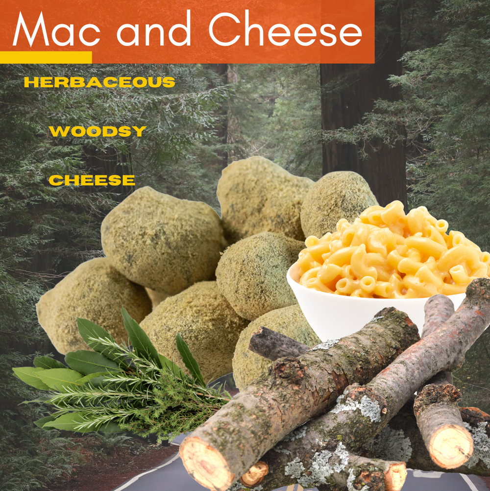 Mac and Cheese Moon Rocks