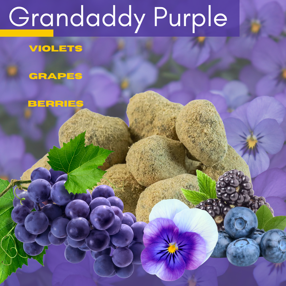 Grandaddy Purple Moon Rocks